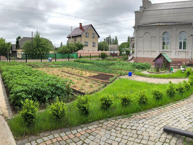 Exercise tending to Garden